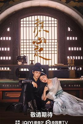 福建网站关键字优化